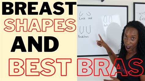 bell tits|Breast Shapes: A Guide to Different Types of Breasts